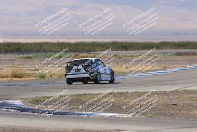 media/Oct-04-2025-OnGrid (Sat) [[44bd565ffa]]/Purple Group/Grapevine/